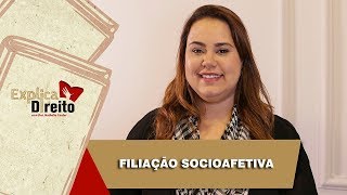 Explica Direito Filiação Socioafetiva  2019 [upl. by Eicyaj]