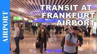 TRANSIT WALK AT FRANKFURT Airport FRA Terminal 1  Connection Flight Transfer Arriving amp Departing [upl. by Ameyn]